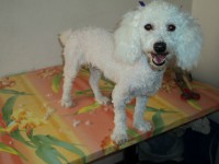 /album/fotos/de-todo-040-jpg/